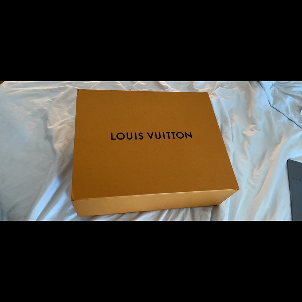 Large Louis Vuitton Magnetic Storage Box